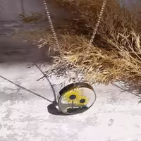 آفتاب گردون رزینی