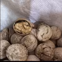 گردو پوست کاغذی اعلاء سفید و چرب محصول ایرانی(900گرم خالص)