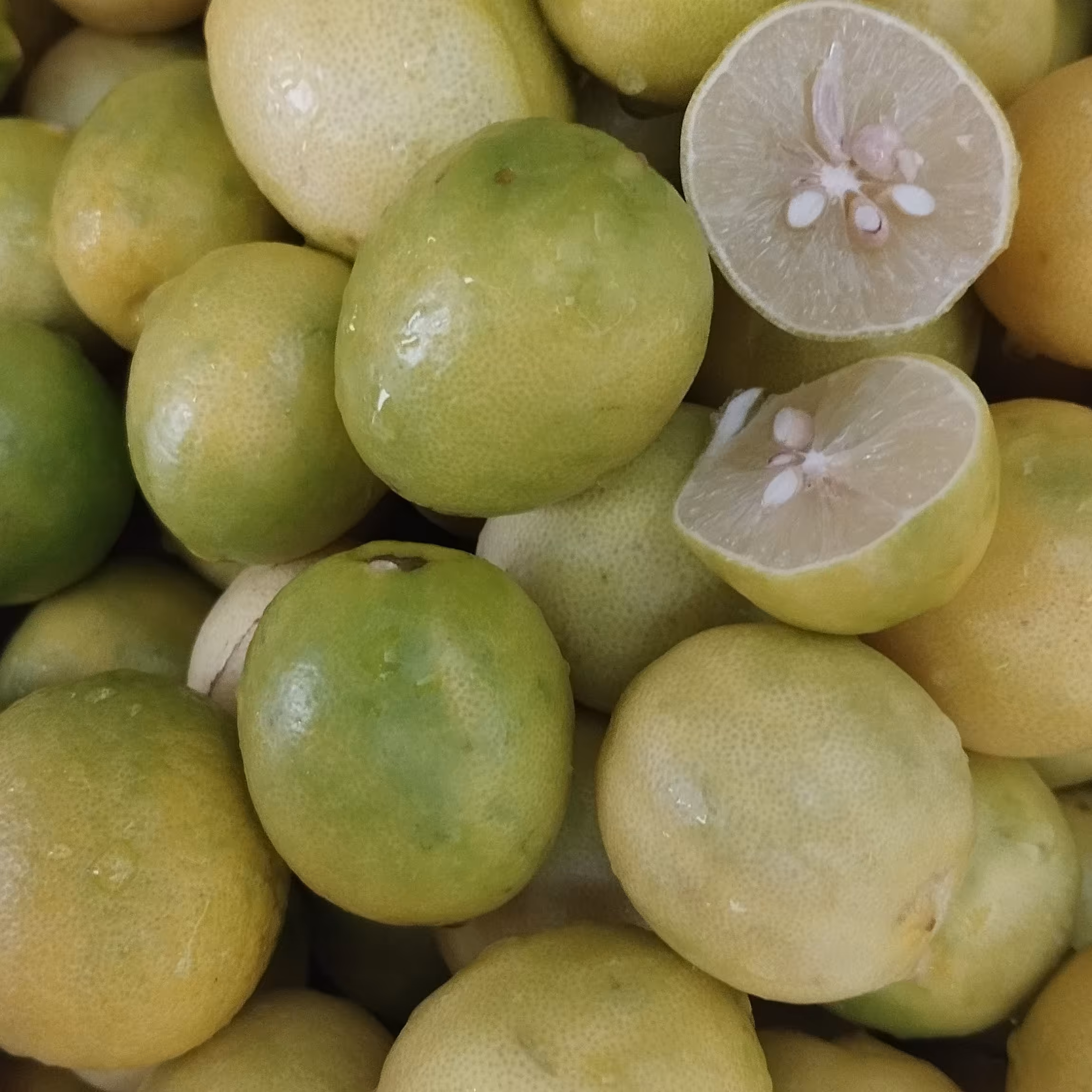 آبلیمو صددرصدخالص وطبیعی2لیتری