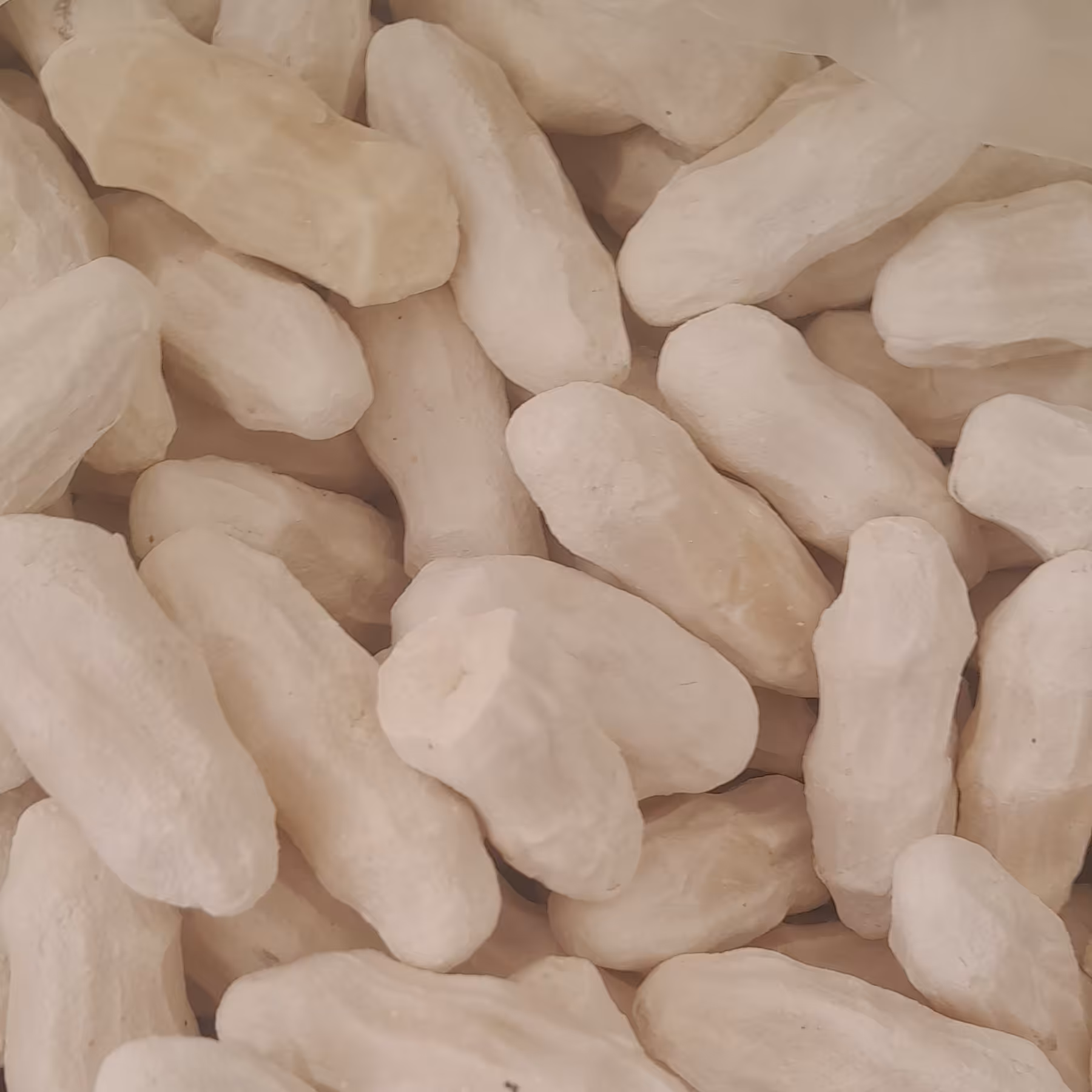 کشک گاوی تازه خو ری