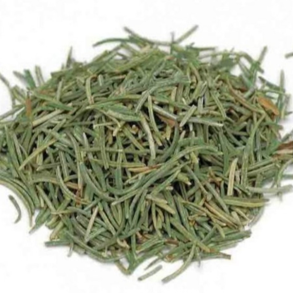 گیاه رزماری