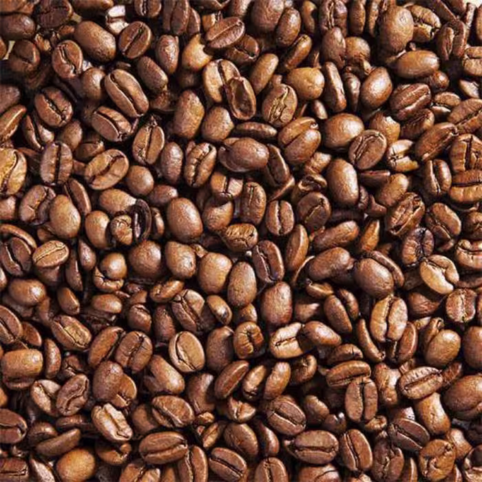بذر درخت قهوه عربی 10 عددی