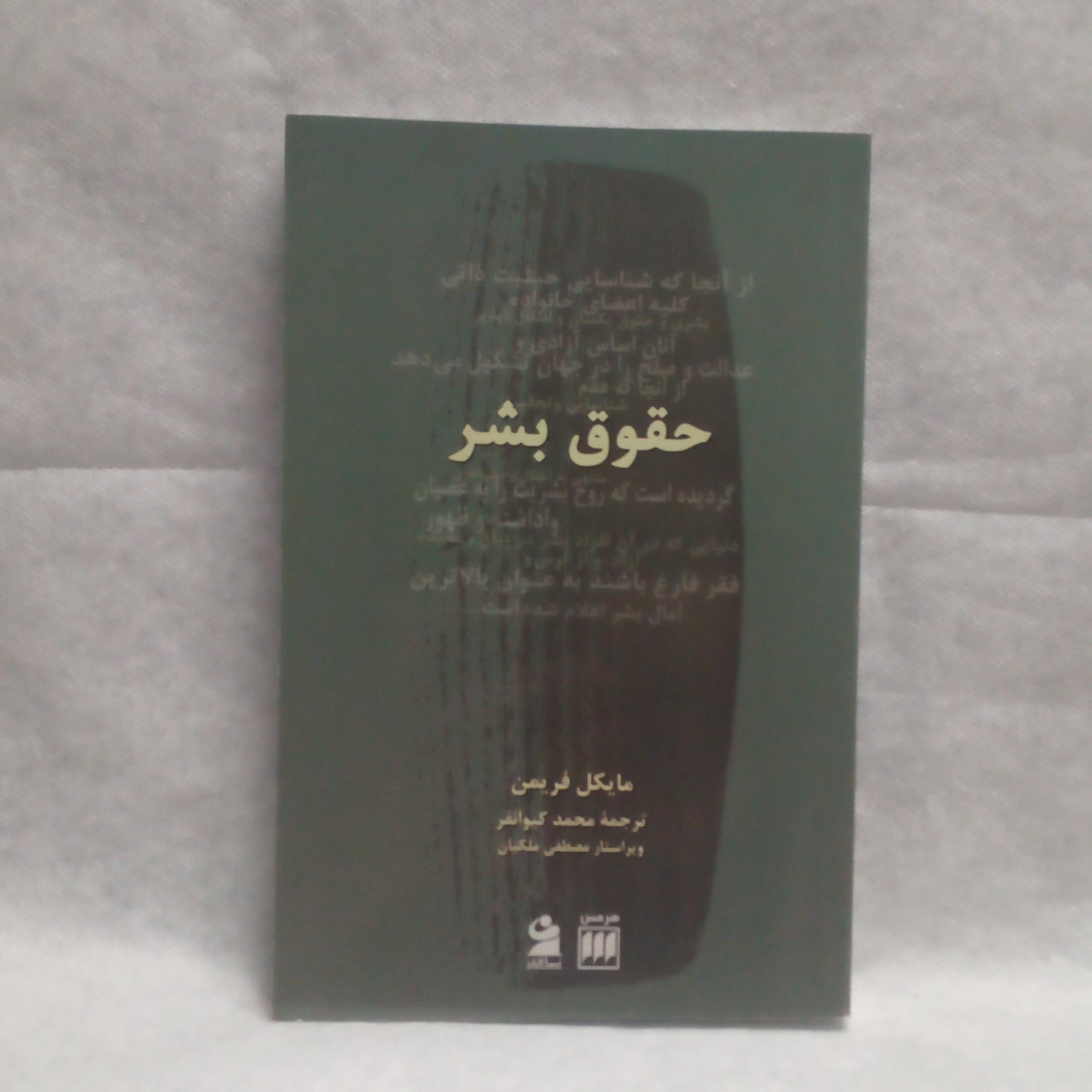 کتاب حقوق بشر نوشته مایکل فریمن چاپ1387