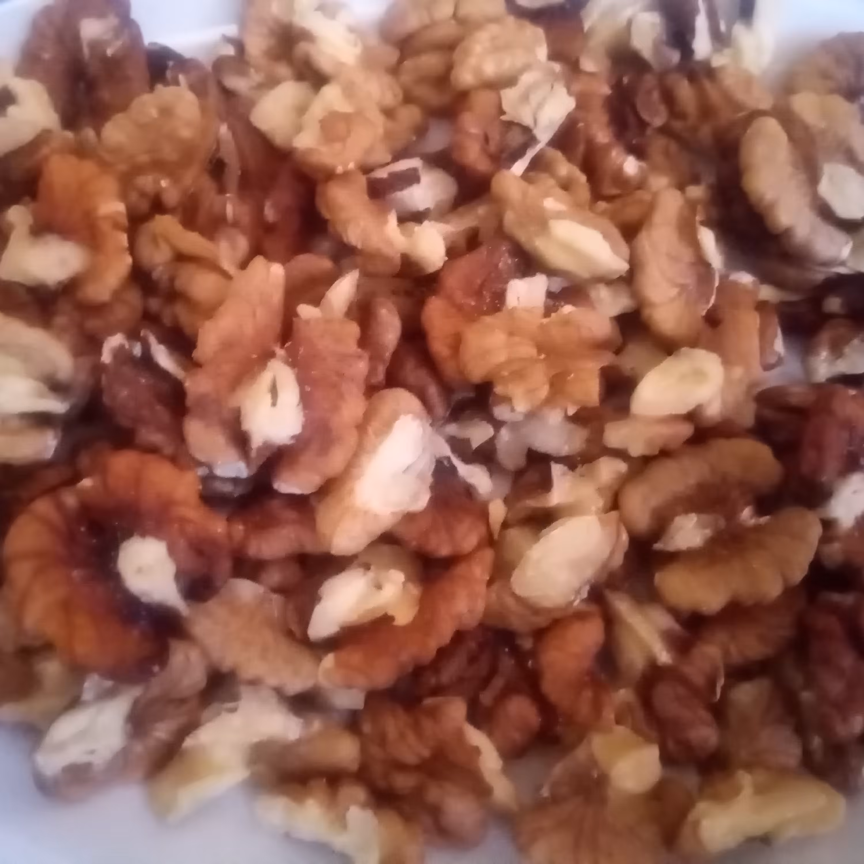 مغز گردو. مغز گردوی فسنجان. مغز گردوی خورشتی. پر روغن. اشکورات گیلان