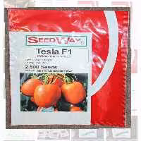 بذر گوجه فرنگی تسلا