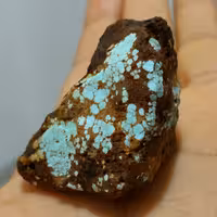 سنگ راف غولپیکر و فوق کلکسیونی فیروزه نیشابور 100 در 100 طبیعی شاهکار خلقت خاااااااص
کد 8488  