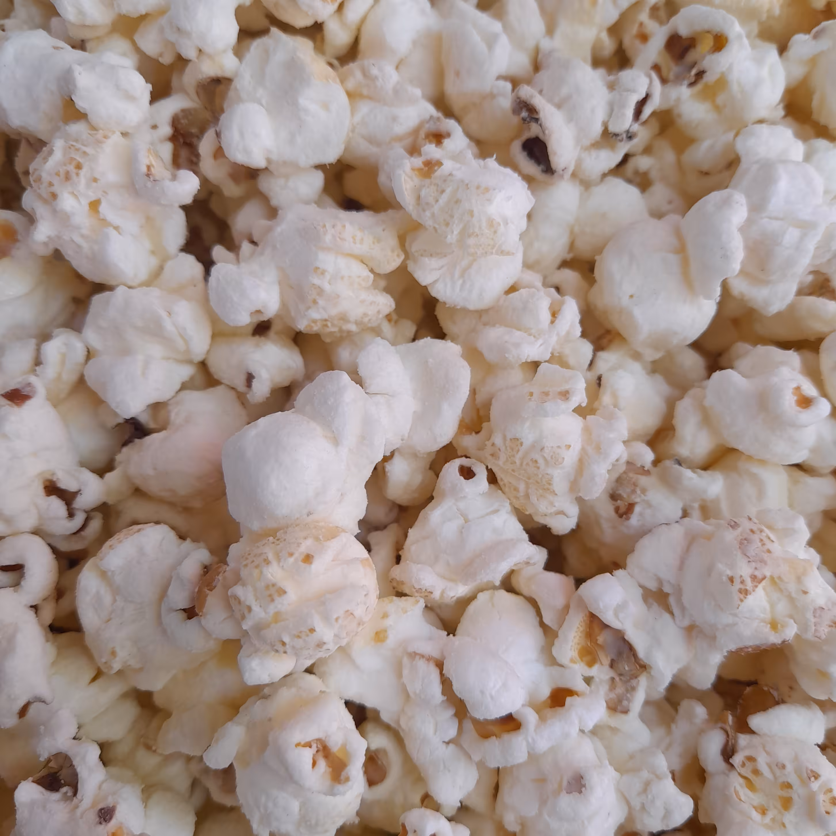 پفیلا پنیری