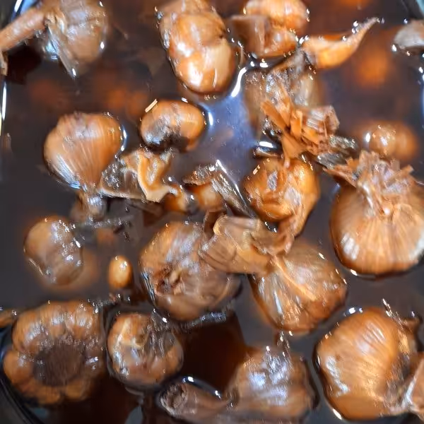 ترشی سیر چهارساله درجه یک