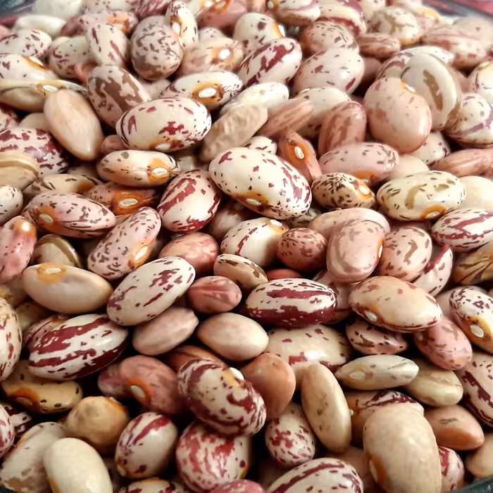 لوبیا چیتی پاک کرده نیم کیلویی طبیعی شهر کوهستانی خوانسار