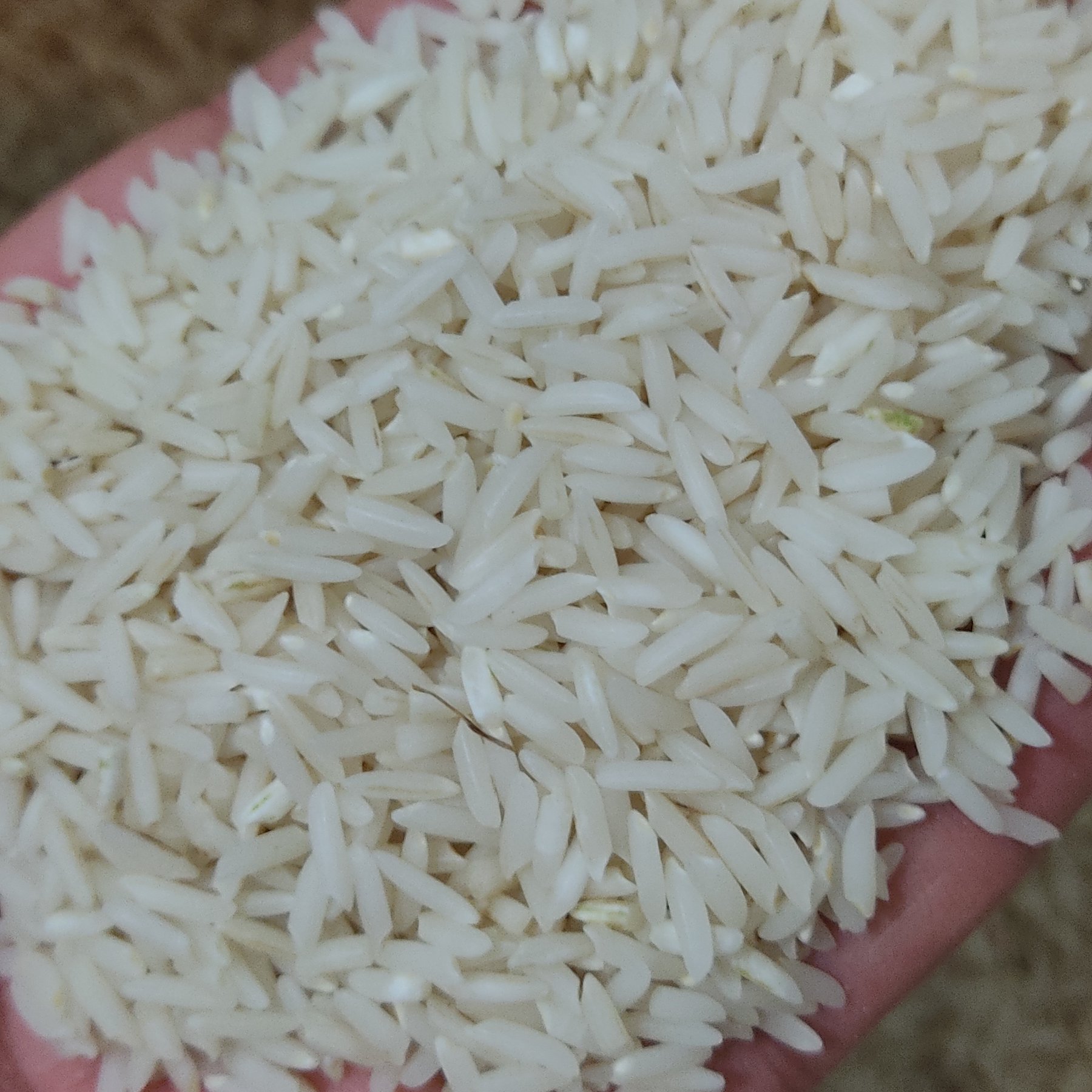 برنج هاشمی محلی درجه یک گیلان امساله خوش پخت و تضمینی