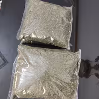 نعناع خشک شده با عطر و طعم بی نظیر