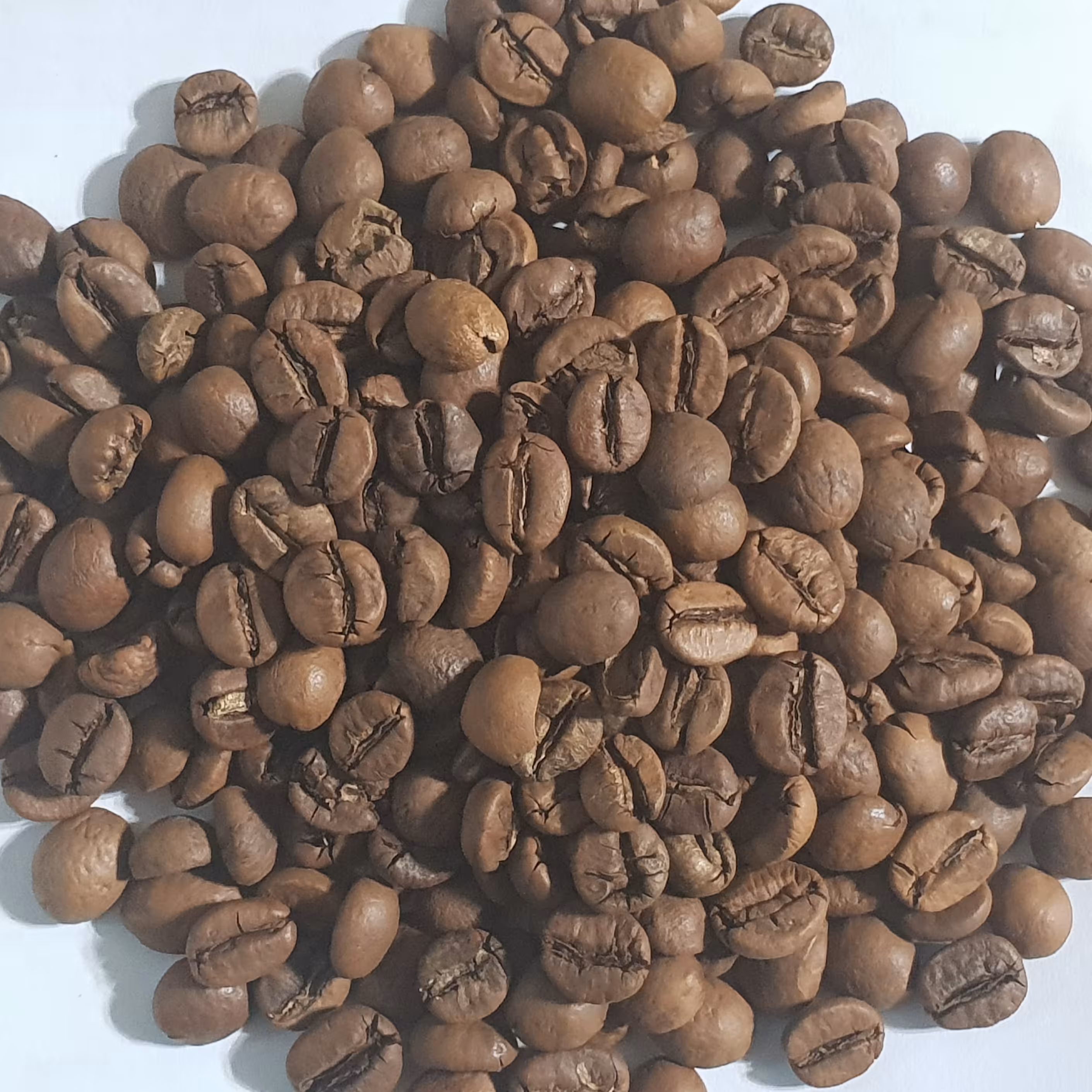 قهوه 100 درصد روبوستا (فول کافئین) اوگاندا (250 گرم)