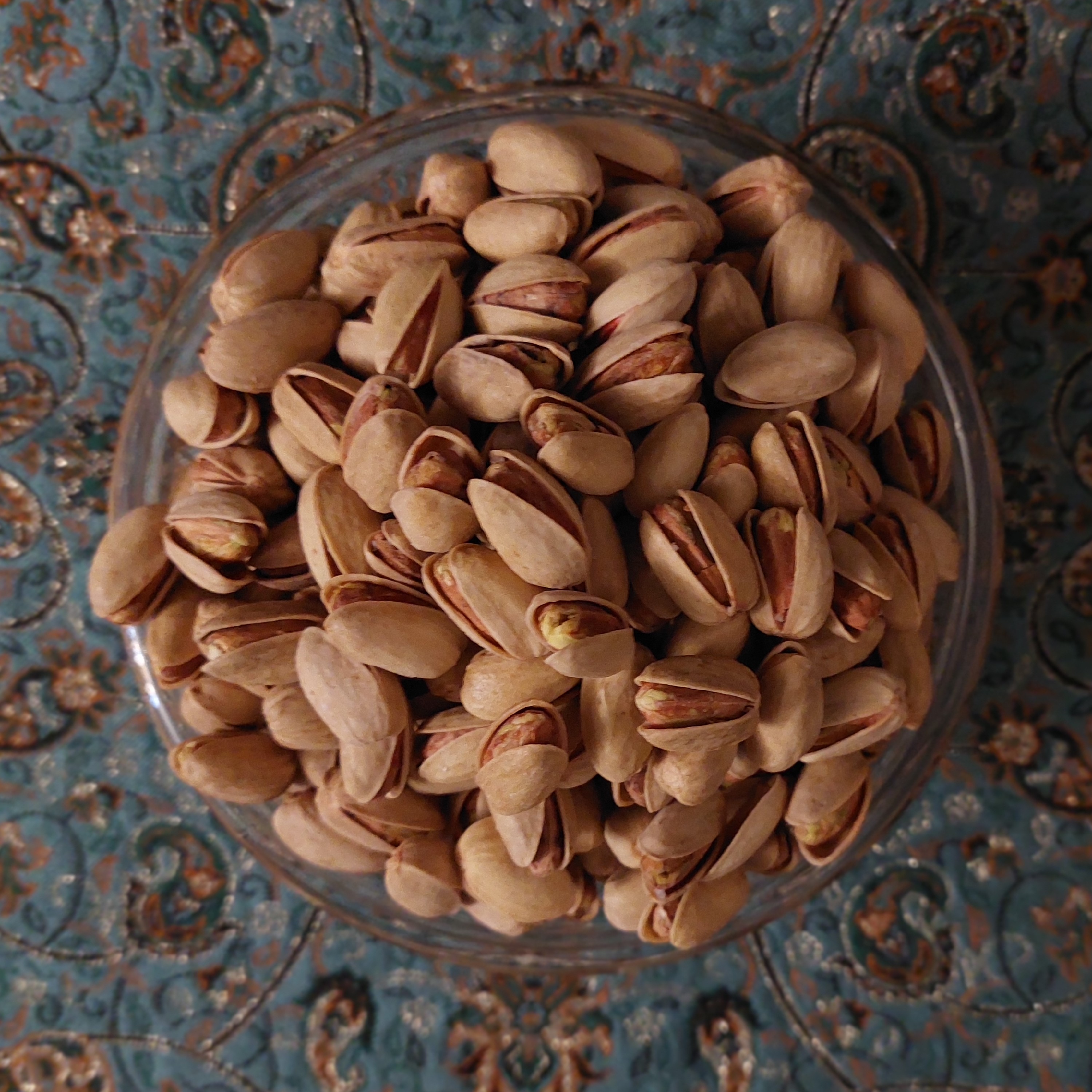 پسته اکبری شور تازه و صادراتی