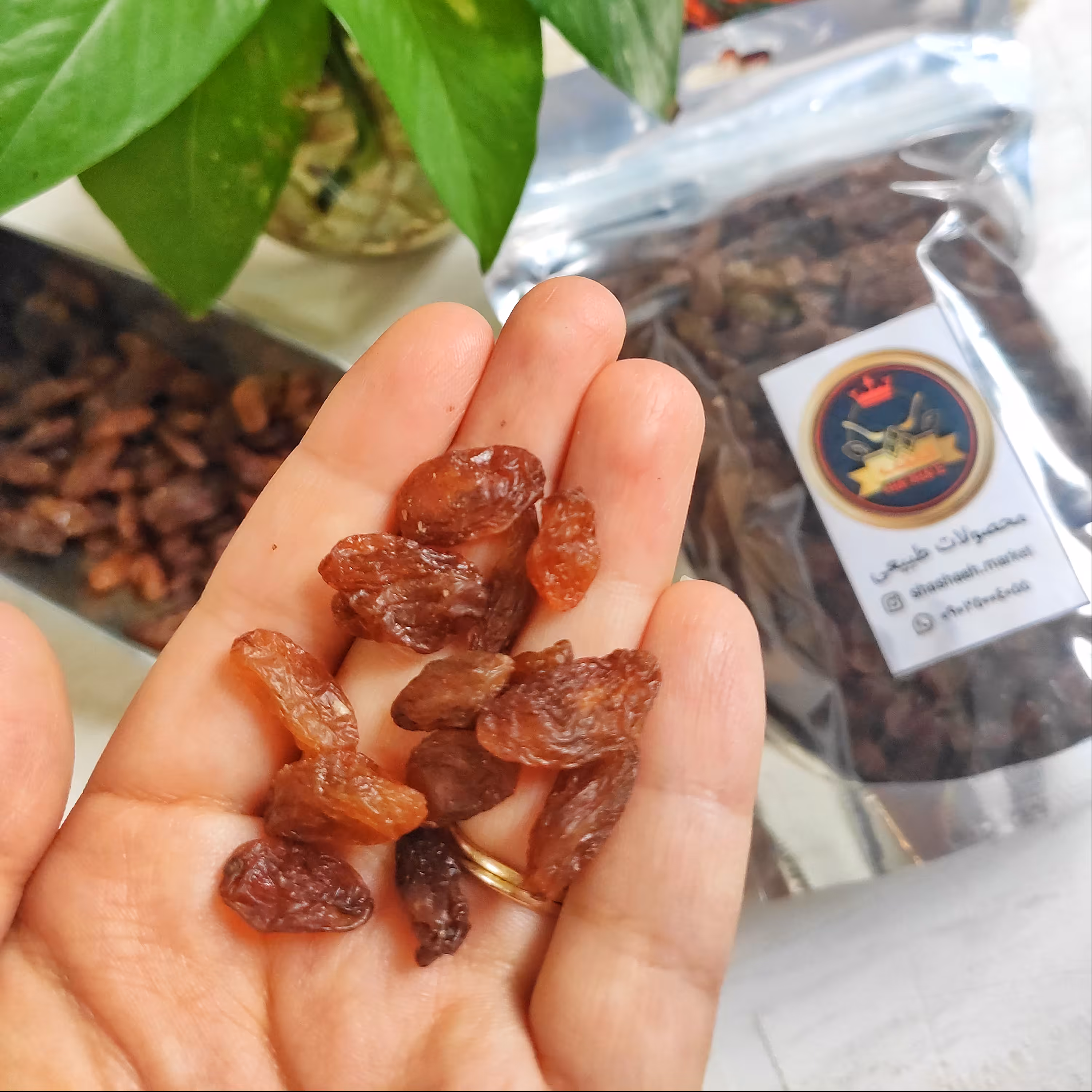 کشمش آفتابی قلمی نیم کیلویی کاشمر