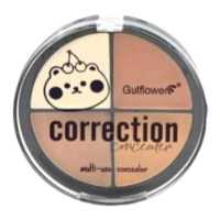 پالت کانسیلروکانتور چهار رنگ خرسی گول فلاور کد 01