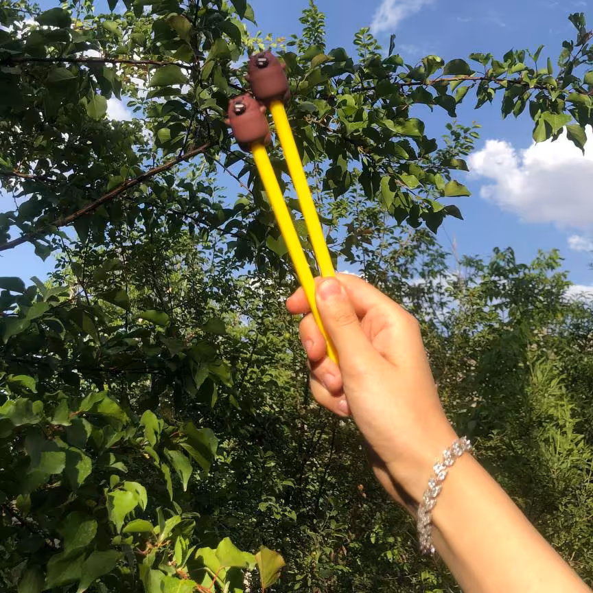 روان نویس فانتزی دوستان خرسی