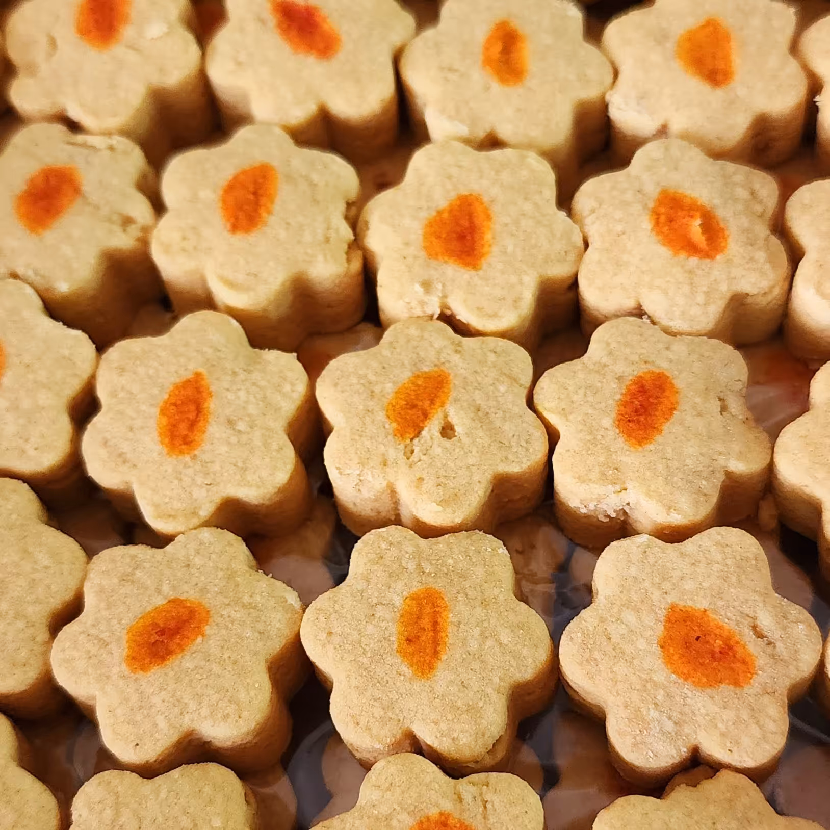 کلوچه نخود ترد و خوشمزه  قبول سفارش با استفاده از با کیفیت ترین مواد اولیه 