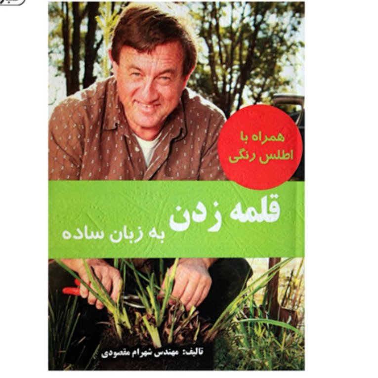 کتاب قلمه زدن به زبان ساده