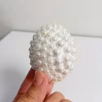 تخم مرغ مناسب مراسم 2عددی