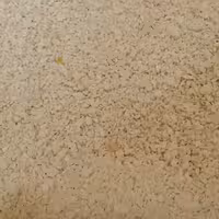 پودر سوخاری سفید