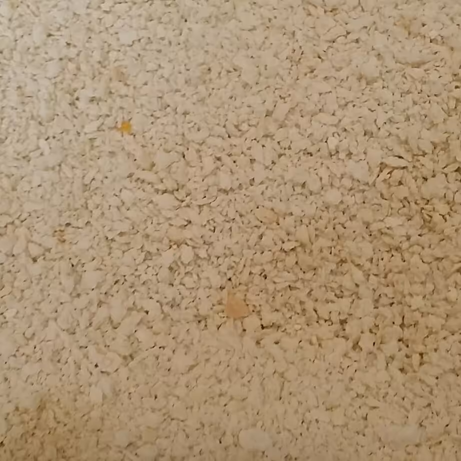 پودر سوخاری سفید