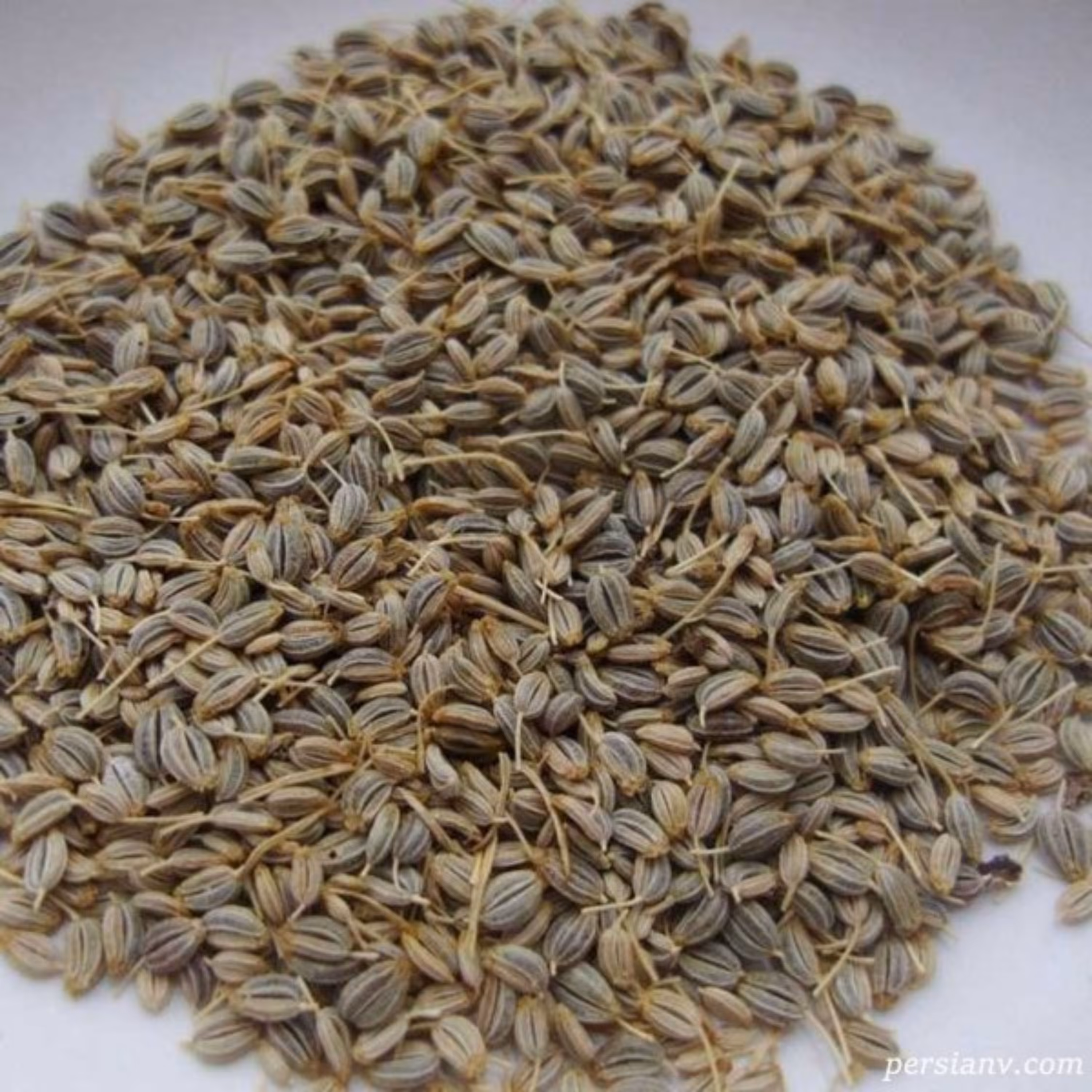 تخم جعفری(100 گرمی)