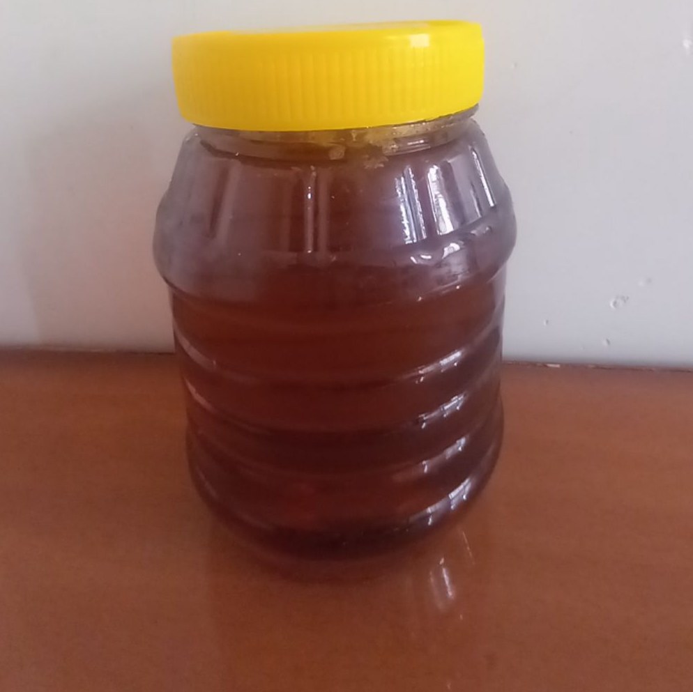 عسل وحشی