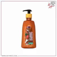 شامپو گانودرما مخصوص موهای چرب بیز