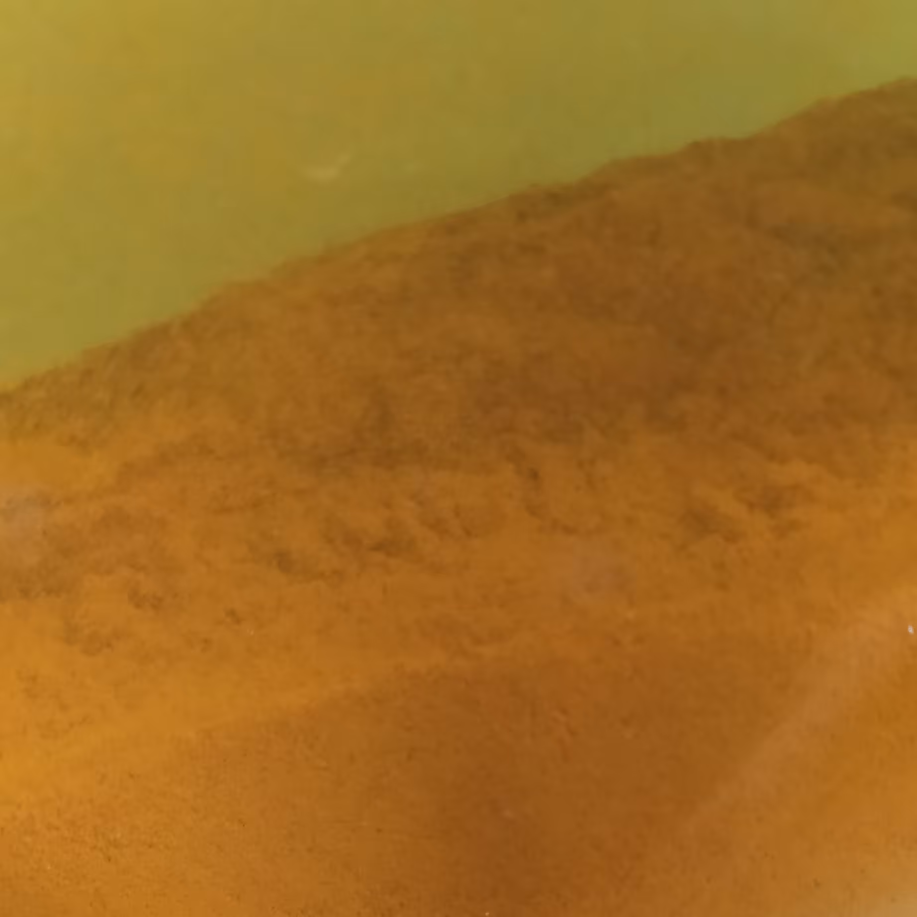 زردچوبه 250گرمی