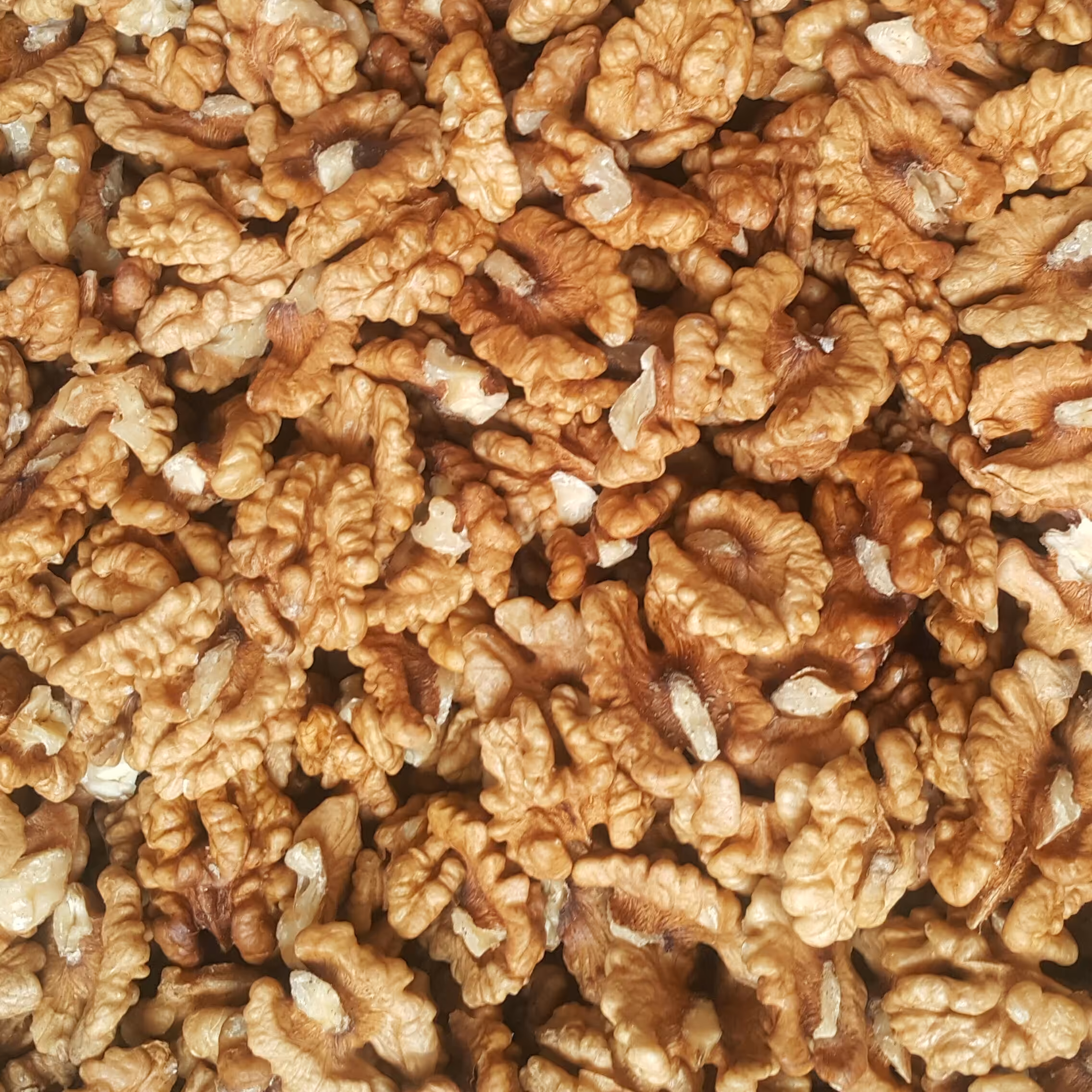 مغز گردو چینی (10 کیلو)