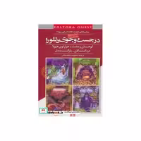 کتاب در جست و جوی دلتورا (مجموعه دوم،5تا8) اثر امیلی رودا