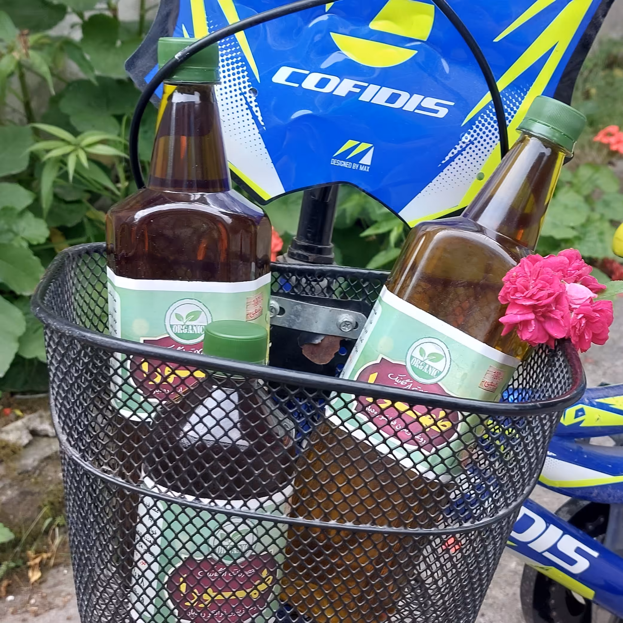 روغن زیتون فرابکر رودبار صددرصدخالص بابو مطبوع یک لیتری، پرس سرد