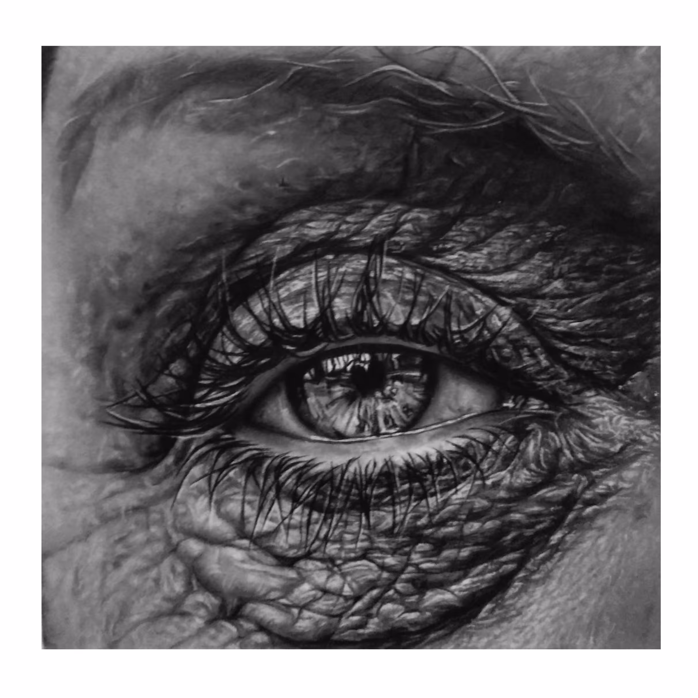 سفارش سیاه قلم  روی مقوا (10*10)