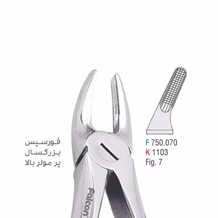 فورسپس بزرگسال پرمولر بالا - falcon