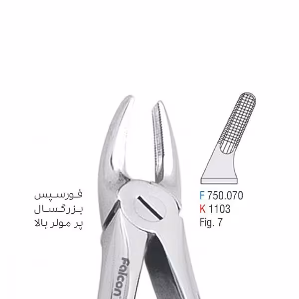 فورسپس بزرگسال پرمولر بالا - falcon