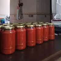 رب گوجه  فرنگی 