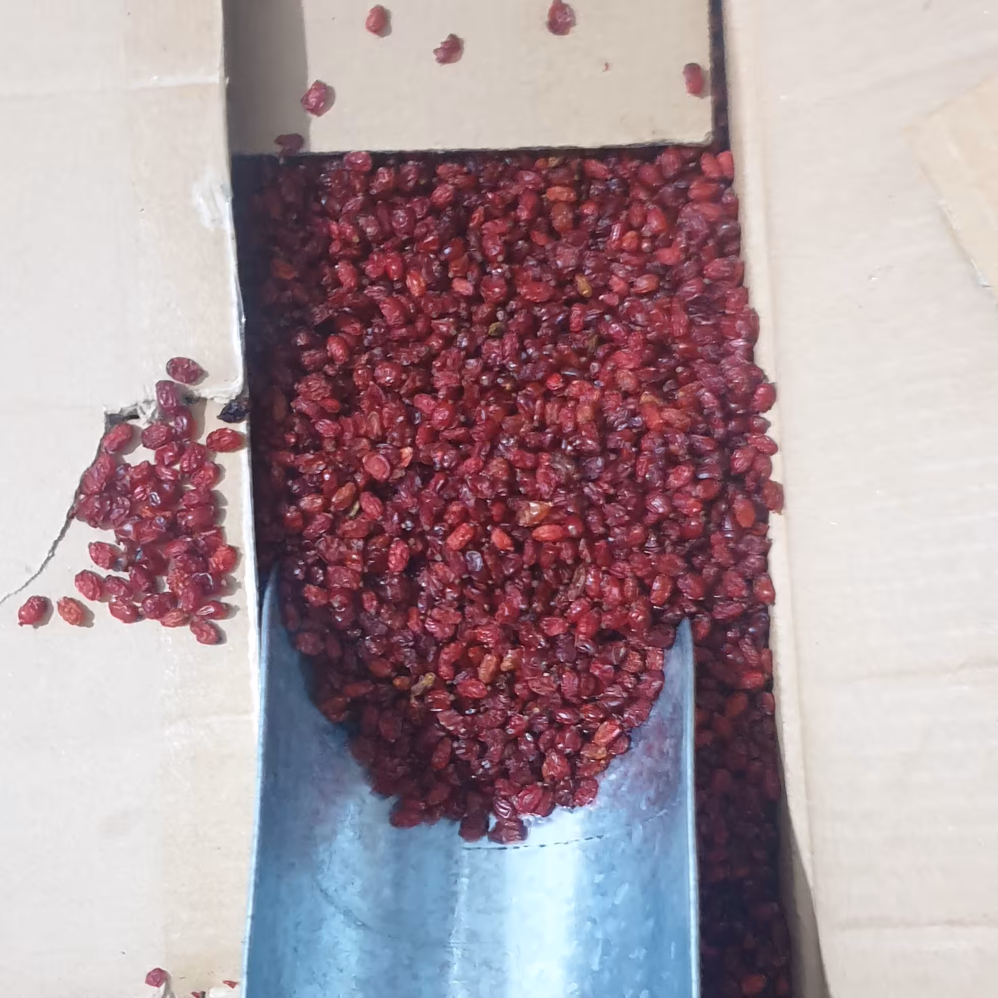 زرشک مرغوب خراسان پفکی