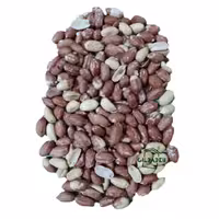 بادام زمینی درشت اعلا نمکی