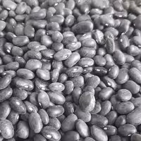 لوبیا سیاه دستچین فوق اعلا خمین  2000 گرمی