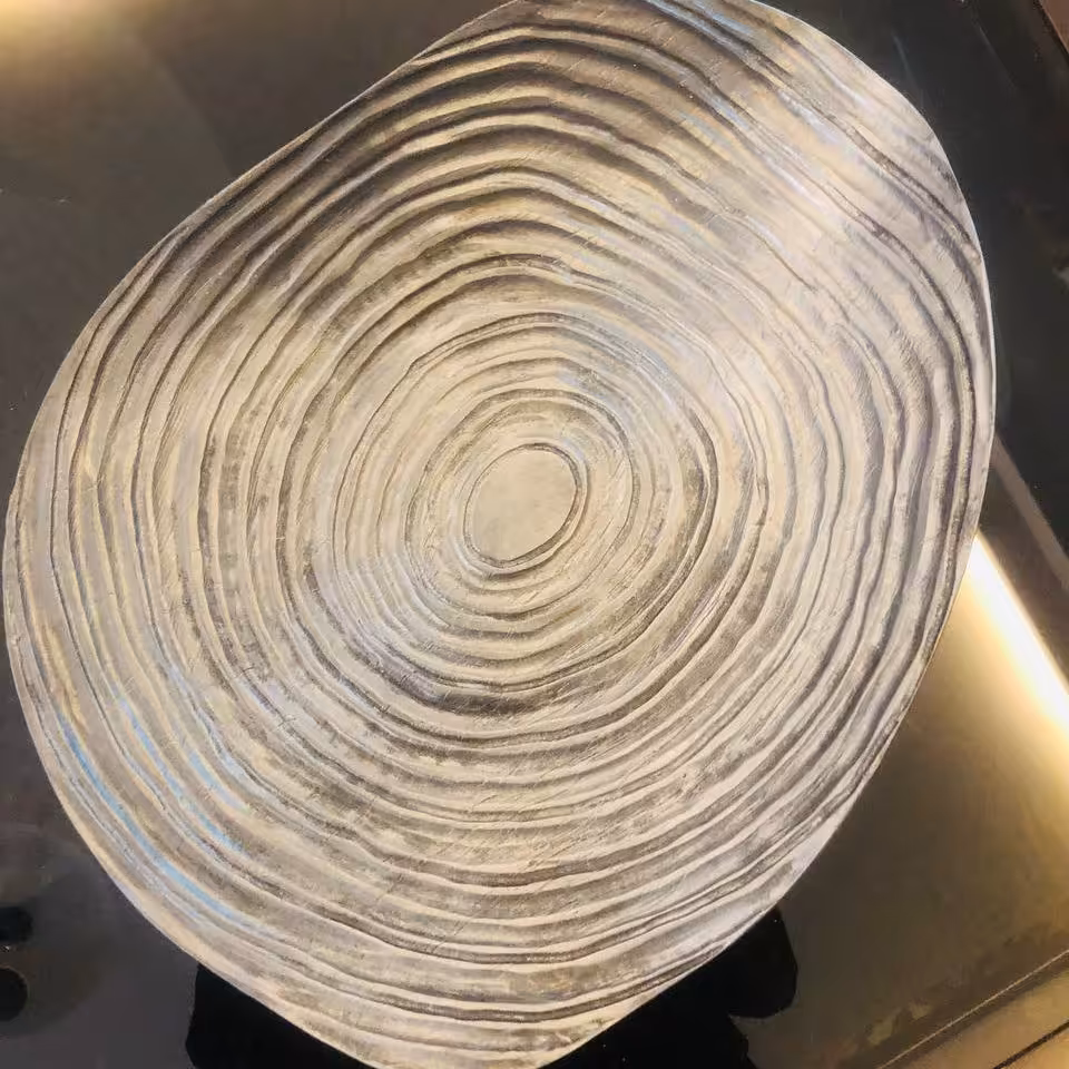 ظرف پذیرایی مدرن 