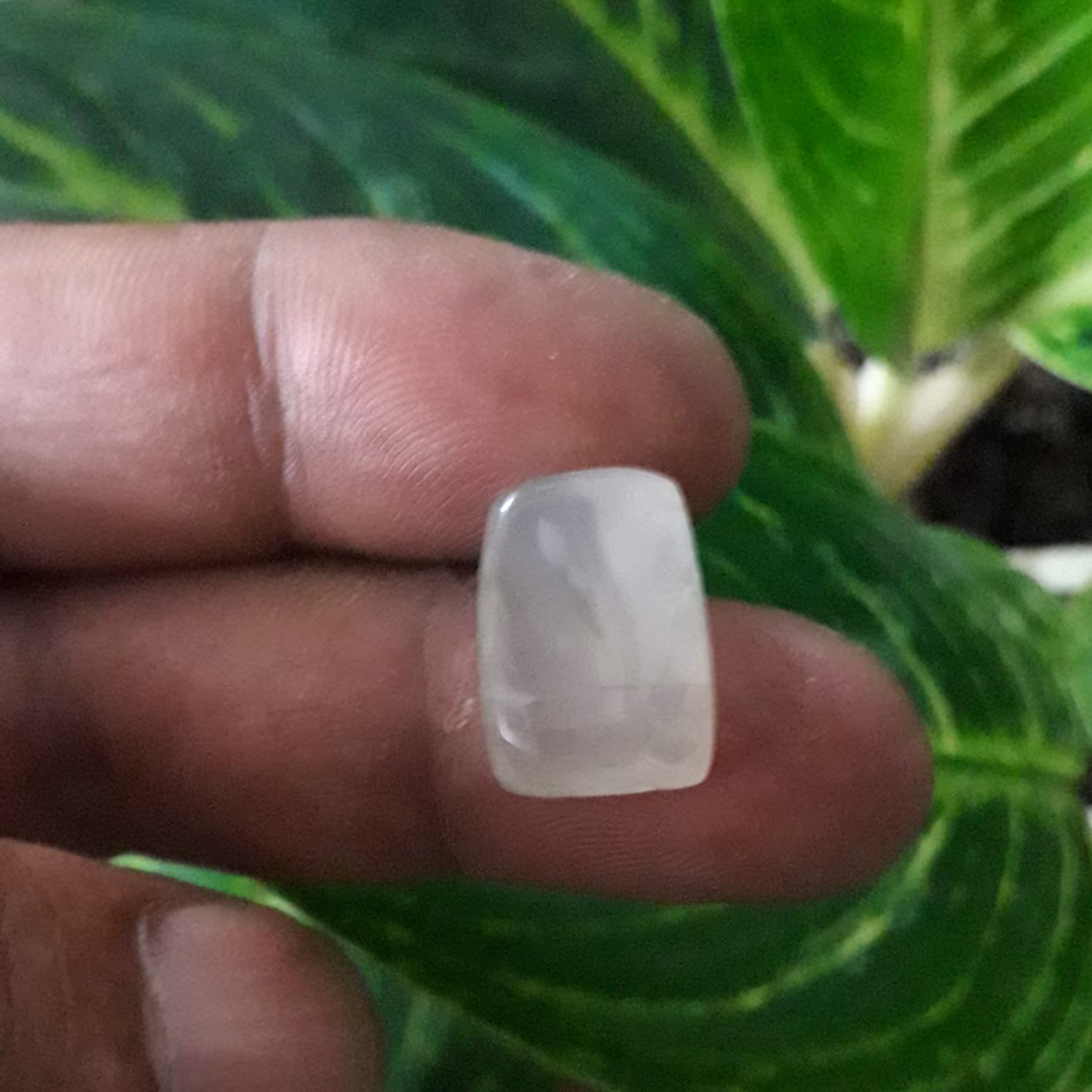 نگین سنگ کهربا رنگ سفید مایل به زرد طول 15میلیمتر عرض 10میلیمتر تراش مستطیل تولیدگالری عقیق خزری 