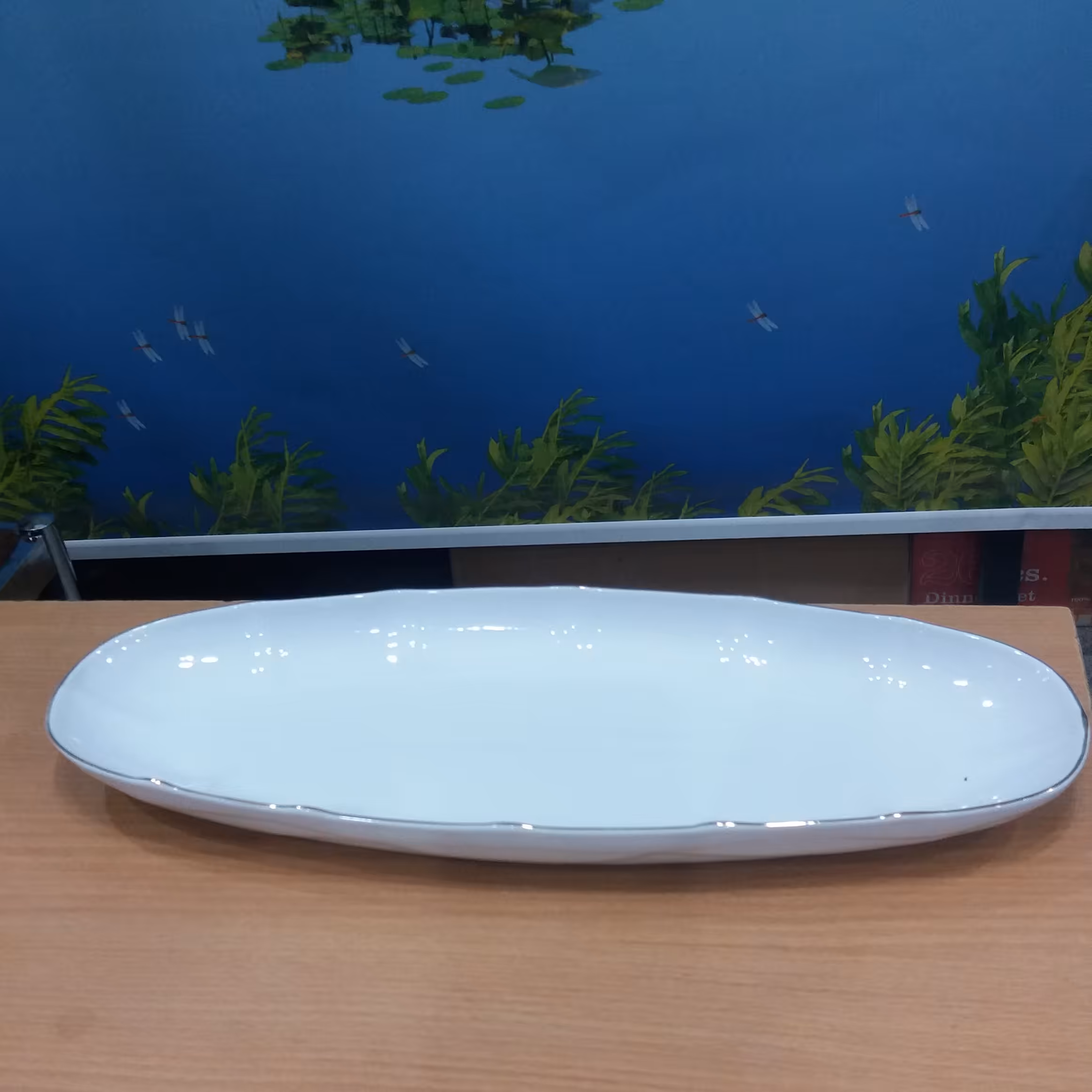 دیس ماهی خوری بزرگ