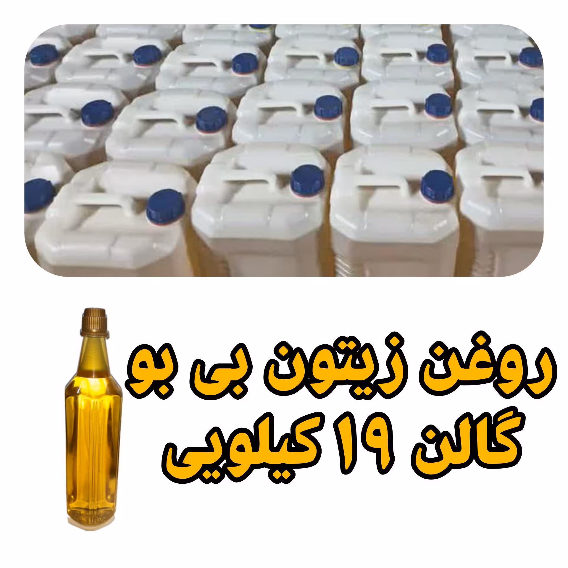 روغن زیتون عمده بی بو گالنی 20.65 لیتر  با تضمین کیفیت عمده فروشی