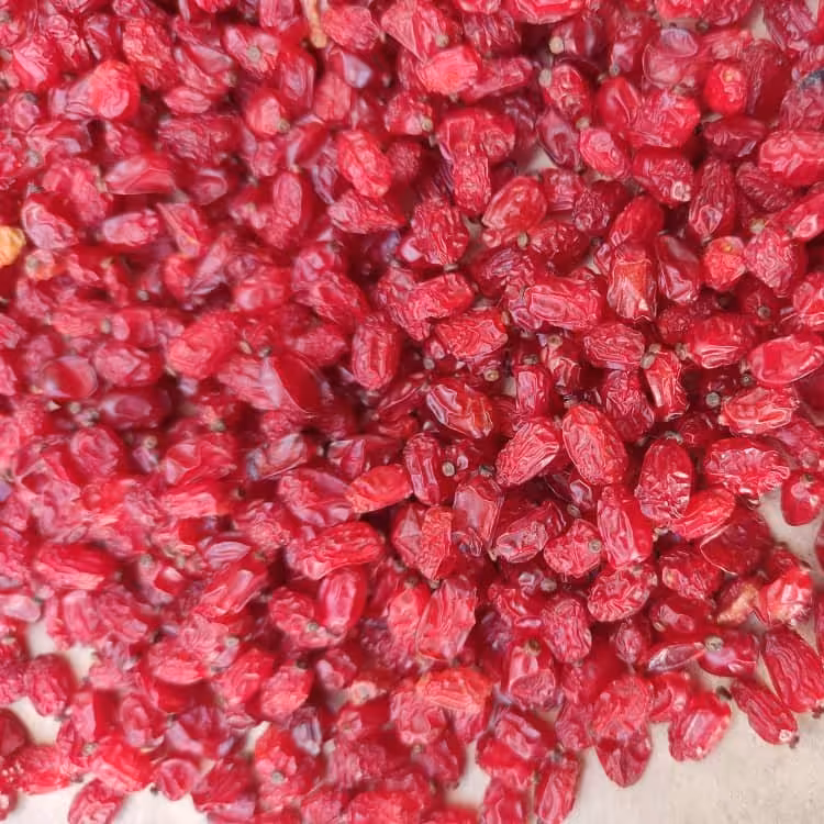 زرشک اناری درجه یک و اعلا 