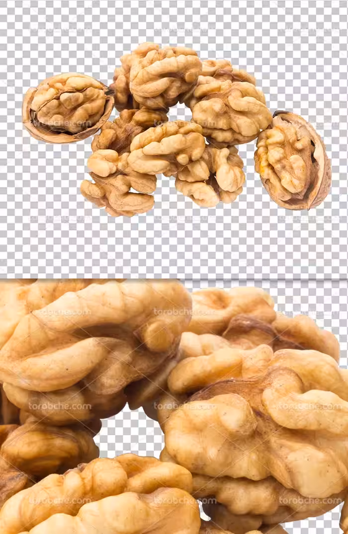 عکس مغز گردو دوربری شده | گرافیک با طعم تربچه