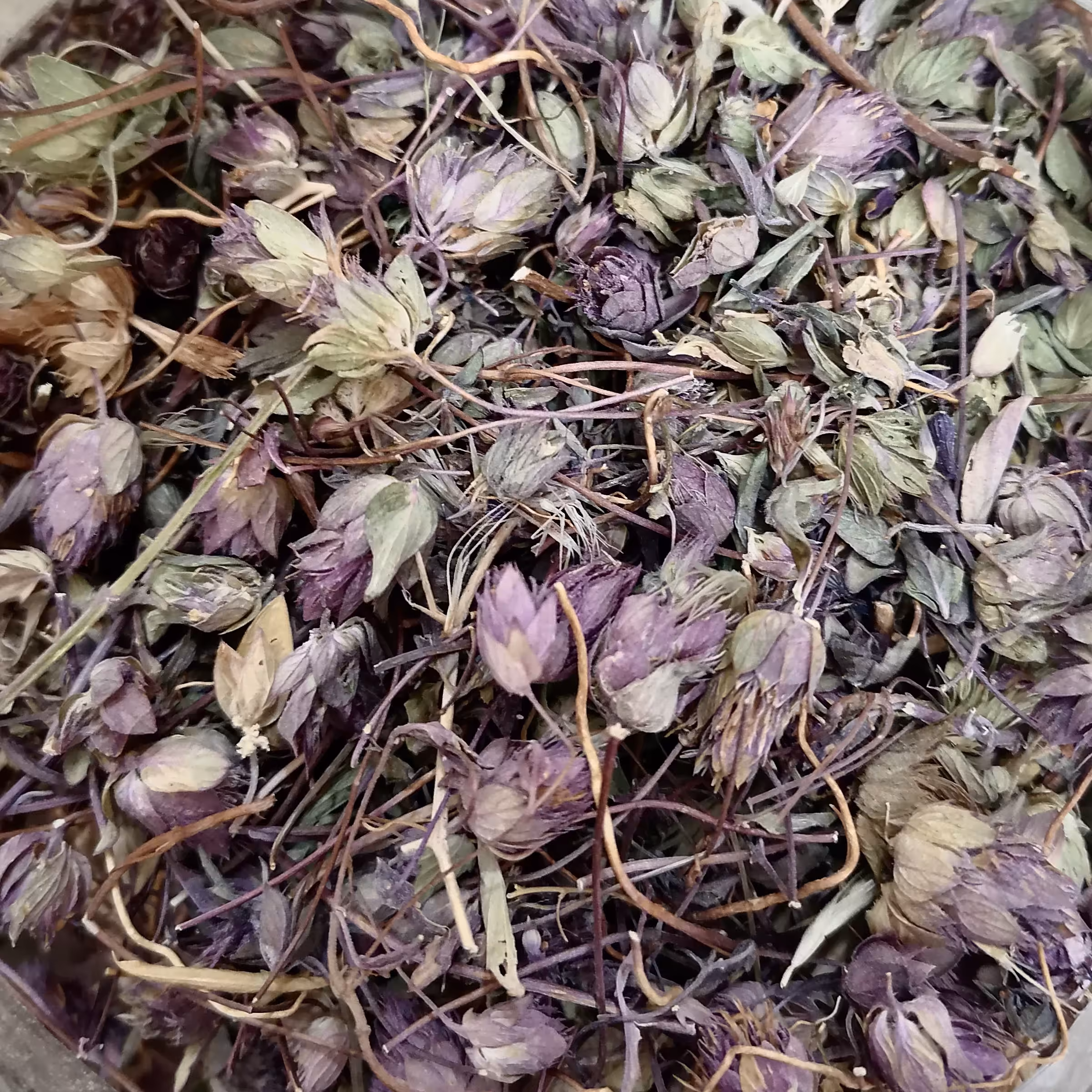 زوفا  100 گرمی