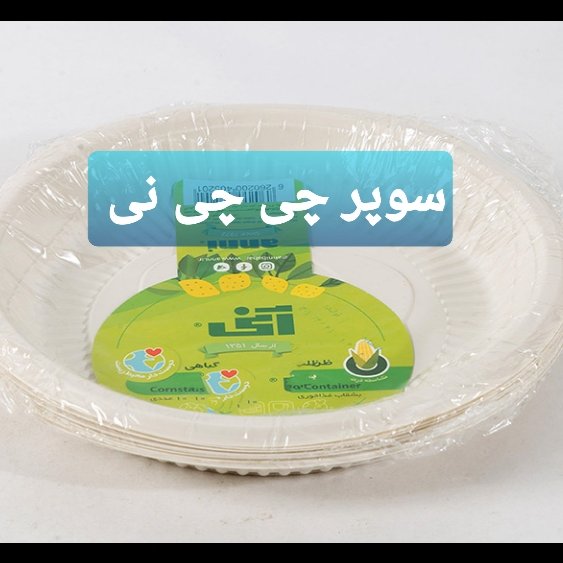 بشقاب‌غذاخوری  یکبارمصرف گیاهی10عددی‌آنی