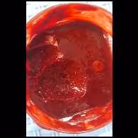 رب ازگیل وحشی از جنگل شمال(کاندس ترشی)دسته رب ها