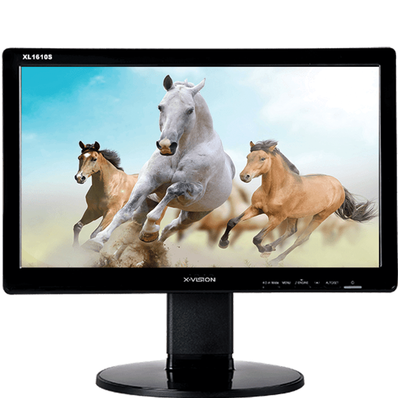 مانیتور ایکس ویژن X.Vision XL1610S