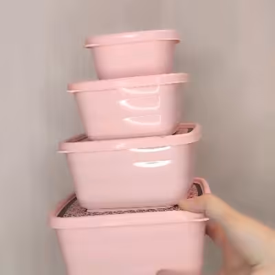 ظرف 4 تکه مایکروفری